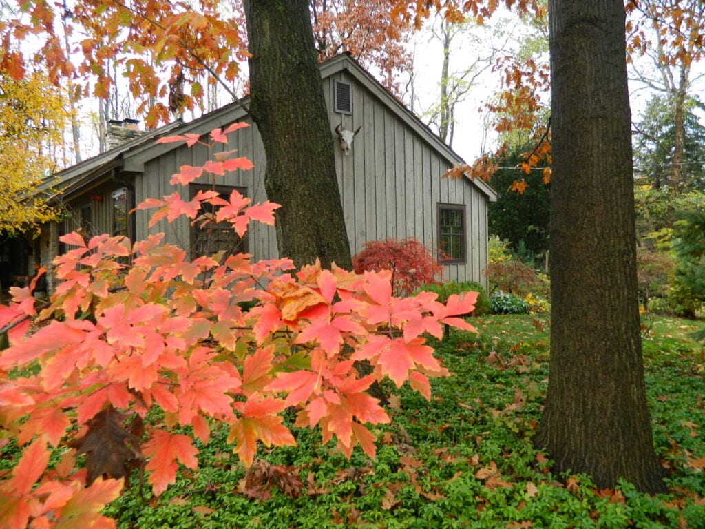 Woodlands of Glen Ellyn